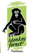 Trentham Monkey Forests Promo Codes & Coupons