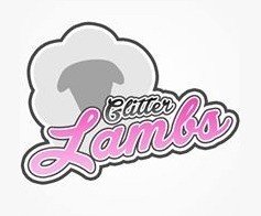 Glitter Lambs Promo Codes & Coupons