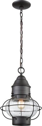 Artistic Home & Lighting Onion 10In Wide 1-Light Outdoor Pendant-AA