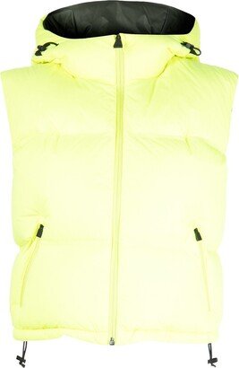 Snowbird puffer vest