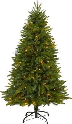 Sun Valley Fir Artificial Christmas Tree with Lights, 60