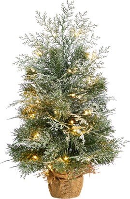 Winter Frosted Artificial Christmas Tree with 35 Led Lights in Burlap Base, 2'