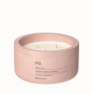 Fraga Fig Fragrance 3 Wick 5