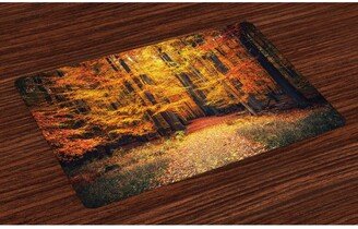 Forest Place Mats, Set of 4