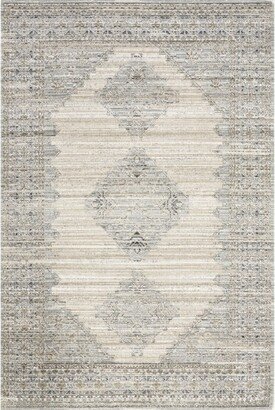 Deena Vintage Machine Washable Indoor/Outdoor Area Rug 8x10, Beige