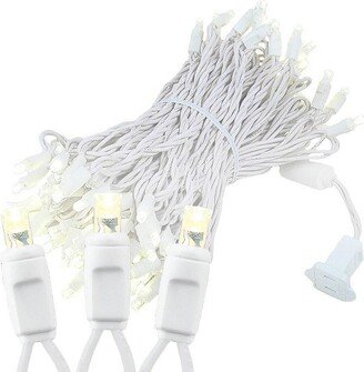 Novelty Lights Inc Novelty Lights 100 Light Warm White LED Christmas/Wedding Mini Light Set (White Wire, 50 Feet)