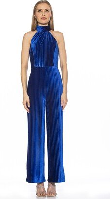 Meghan Velvet Jumpsuit