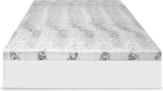 4 Charcoal Infused Memory Foam Mattress Topper, Queen