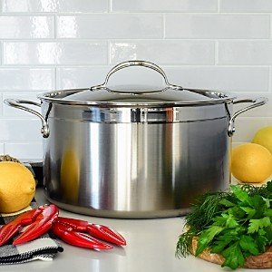 ProBond 8 Quart Forged Stainless Steel Stock Pot with Lid