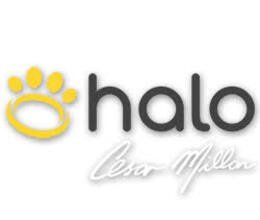 Halo Collar Promo Codes & Coupons