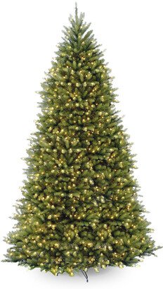 National Tree Company 12Ft Dunhill Fir Tree With 1500 Clear Lights