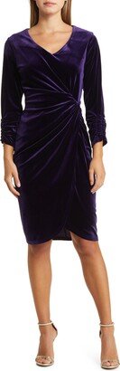 Side Ruched Long Sleeve Velvet Sheat Dress