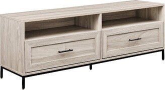 Orin Modern 2 Drawer TV Stand for TVs up to 60 - Saracina Home