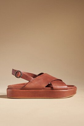 Gull Slingback Sandals