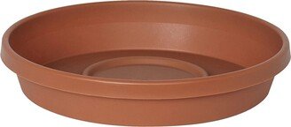 Terra Plant Saucer Tray for Planters Terra Cotta 5.5 Diameter