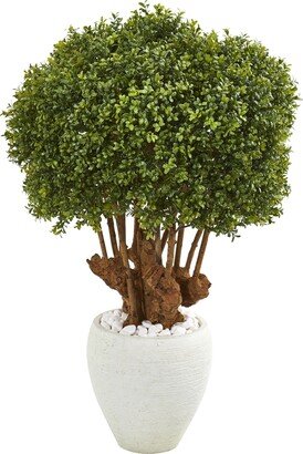 41 Boxwood Artificial Topiary Tree in White Planter