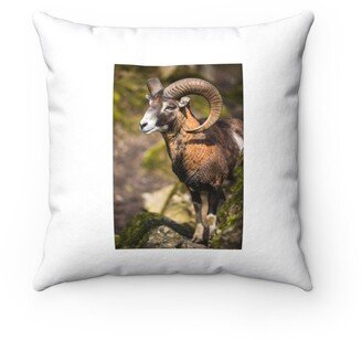 Owl Pillow - Throw Custom Cover Gift Idea Room Decor