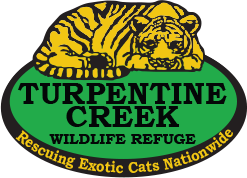 Turpentine Creek Wildlife Refuge Promo Codes & Coupons