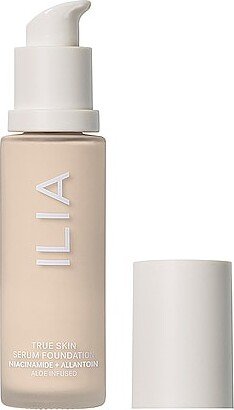 True Skin Serum Foundation in Beauty: NA-AM