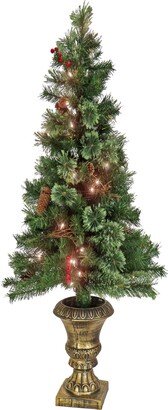 National Tree Company 4' Glistening Pine Entrance Tree with Clear Lights