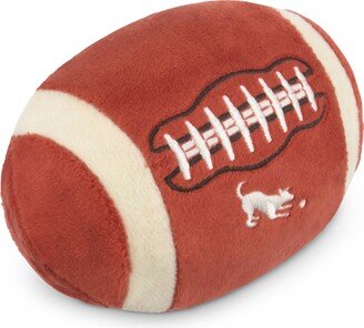 Football Pet Toy