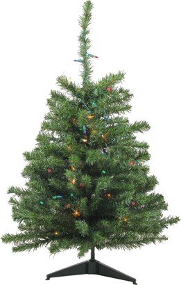 Northlight 3' Pre-Lit Canadian Pine Artificial Christmas Tree - Multi Lights