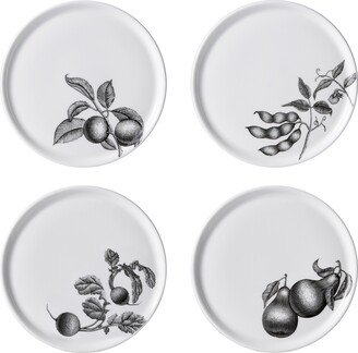 Olive Market 6 Bread Plates - Set of 4