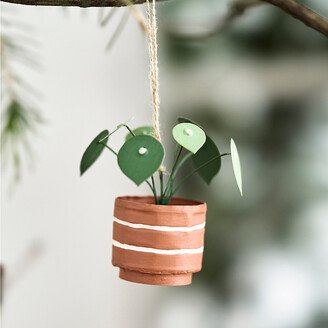 Pilea Ornament-AA