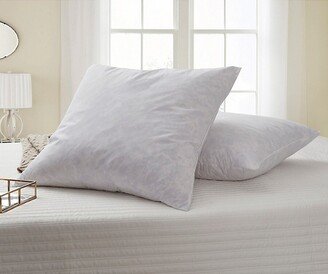 Cotton Pillow- Set of 2