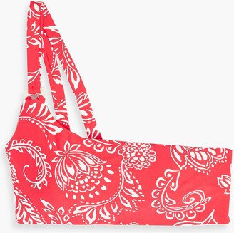 Folklore one-shoulder printed bikini top