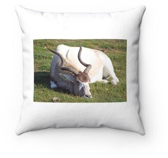 Addax Pillow - Throw Custom Cover Gift Idea Room Decor