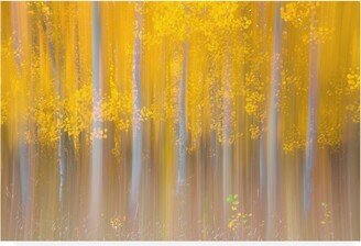 Darren White Photography Changing Seasons Blurred Canvas Art - 19.5 x 26