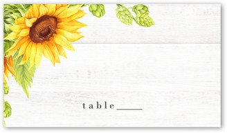 Wedding Place Cards: Sunny Celebration Wedding Place Card, White, Placecard, Matte, Signature Smooth Cardstock