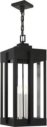 Alder & Ore Emery Outdoor Pendant Light