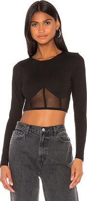 Alexia Mesh Crop Top