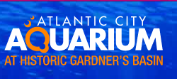 The Atlantic City Aquarium Promo Codes & Coupons