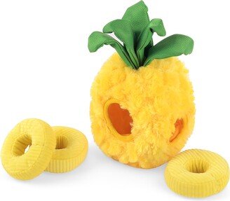 Tropical Paradise Pineapple Dog Toy Set
