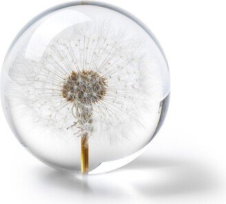 In Flore Dandelion Paperweight, 8 cm, White