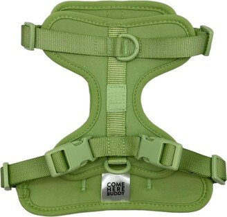 Come Here Buddy Mint Dog Harness