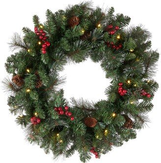 National Tree Company Pre-Lit Artificial Christmas Wreath-AE