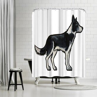 71 x 74 Shower Curtain, Border Collie by Sally Pattrick