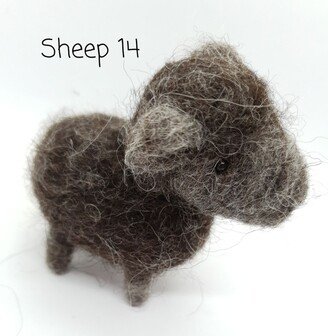 Sheep #14