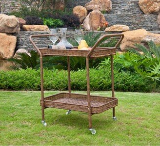 Pensacola Wicker Patio Serving Cart by Havenside Home