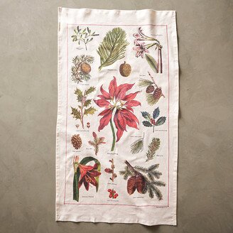 Botanica Dish Towel-AA