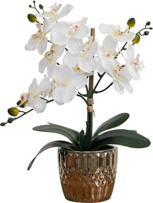 Nature's Elements Desktop Artificial Orchid in Decorative Ceramic Vase, 16
