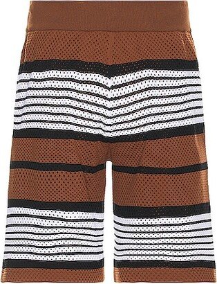 Triple Striped Short in Brown