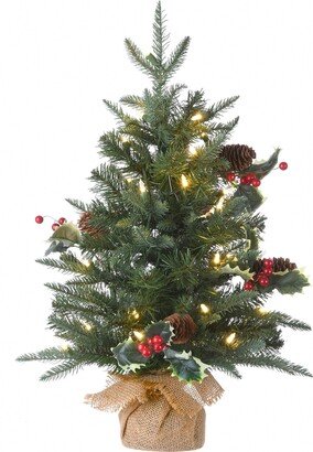 National Tree Company 2' Happy Hill Pine Tree with Led Lights