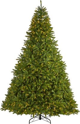 Sierra Spruce Natural Look Artificial Christmas Tree with Lights and Tips, 108