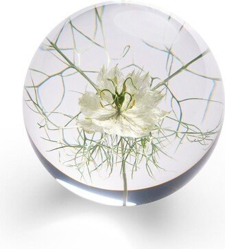 In Flore Flor Paperweight, 8 cm, White