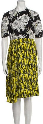 Printed Knee-Length Dress-AD